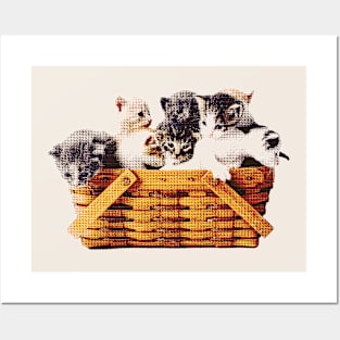 Kittens in a Basket Posters and Art